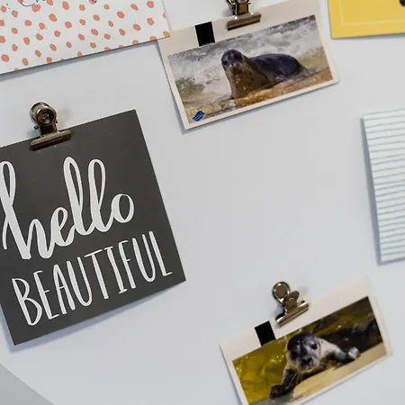 Leona Haus Laffina Διαμέρισμα